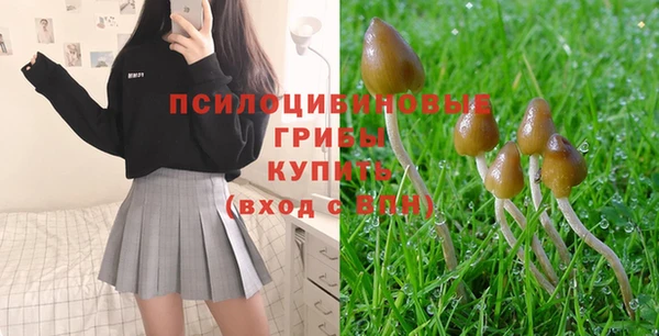 винт Алзамай