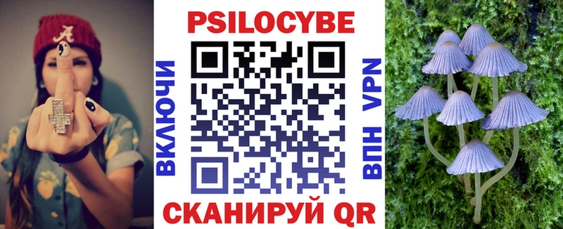 Псилоцибиновые грибы MAGIC MUSHROOMS  где найти наркотики  Щёкино 